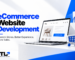 eCommerce-Website-Development-in india